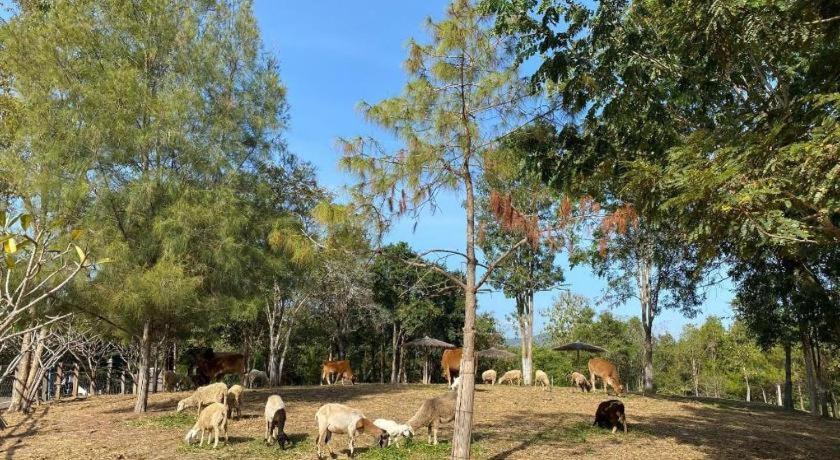 Ruean Racha Hotel Chiang Mai Buitenkant foto
